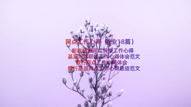 网点工作心得（专业18篇）