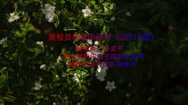 质检员辞职申请书（汇总16篇）