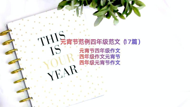 元宵节范例四年级范文（17篇）