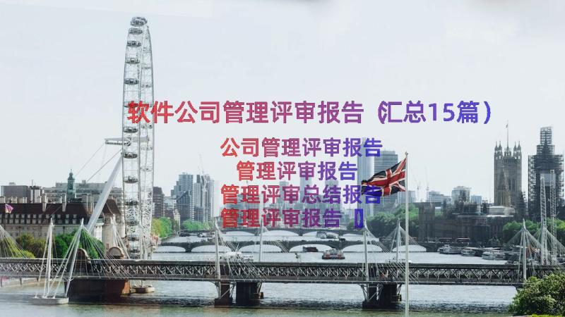 软件公司管理评审报告（汇总15篇）