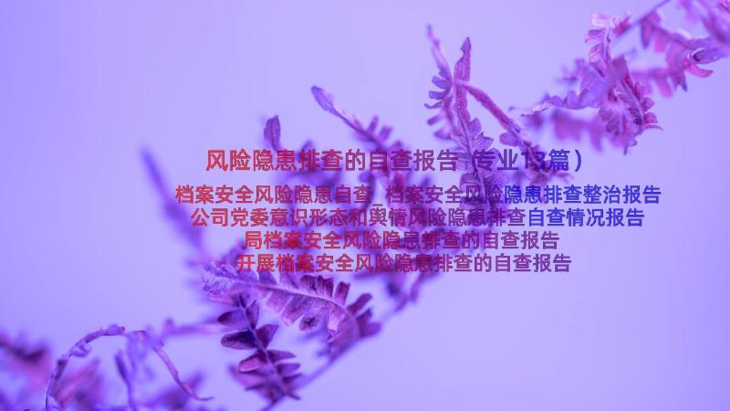 风险隐患排查的自查报告（专业13篇）