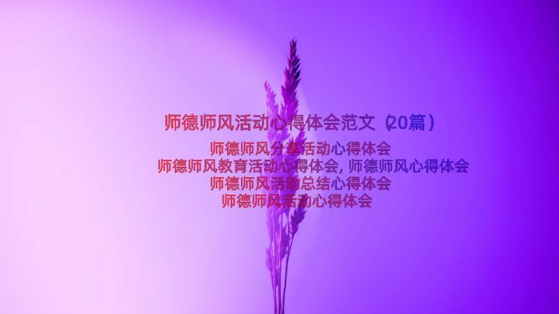 师德师风活动心得体会范文（20篇）