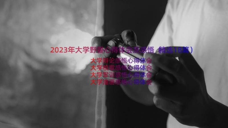 2023年大学野餐心得体会及感悟（精选18篇）