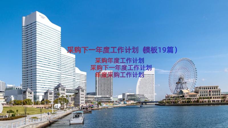 采购下一年度工作计划（模板19篇）