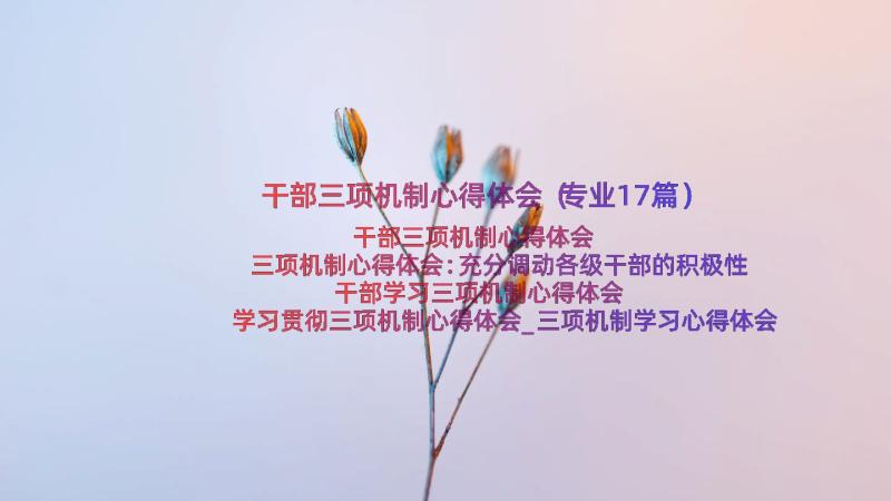 干部三项机制心得体会（专业17篇）