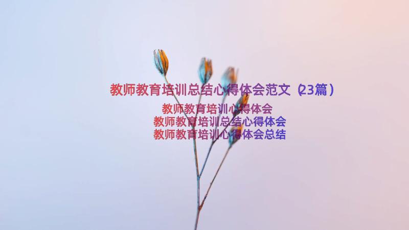 教师教育培训总结心得体会范文（23篇）