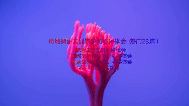 市场调研实训收获和心得体会（热门23篇）