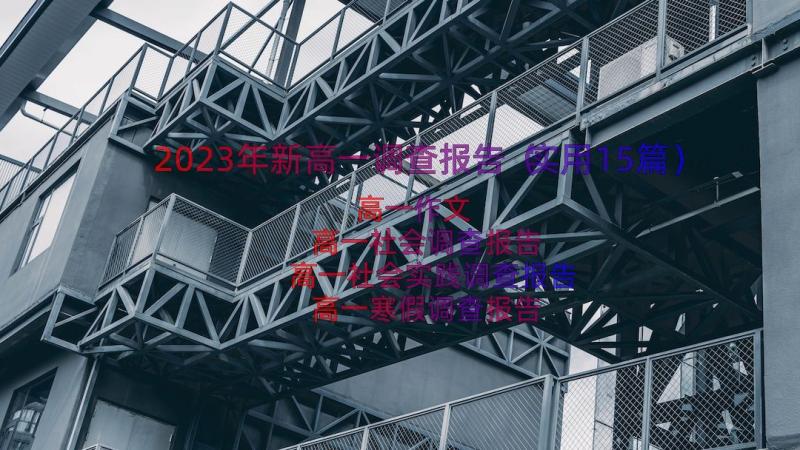 2023年新高一调查报告（实用15篇）