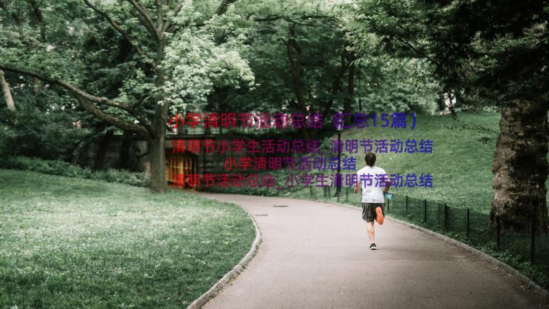 小学清明节活动总结（汇总15篇）