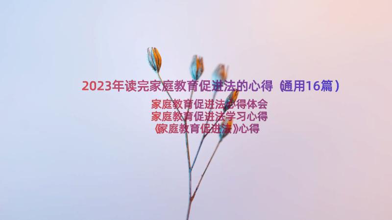 2023年读完家庭教育促进法的心得（通用16篇）