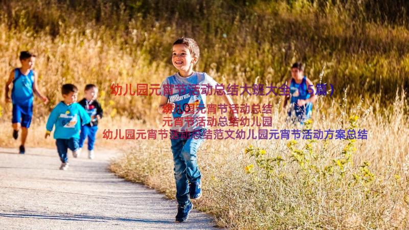 幼儿园元宵节活动总结大班大全（15篇）