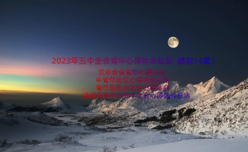 2023年五中全会青年心得体会总结（模板14篇）