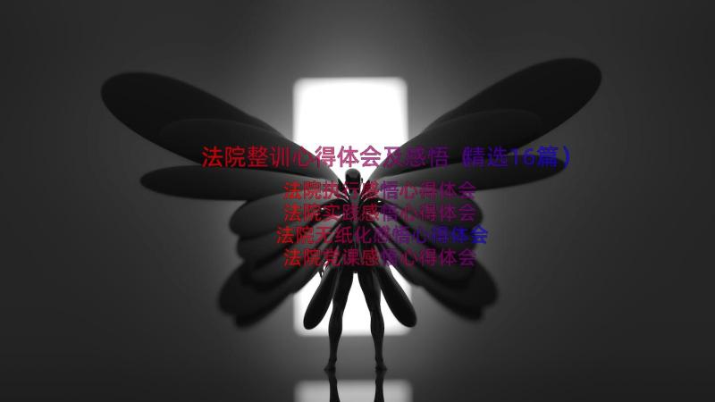 法院整训心得体会及感悟（精选16篇）