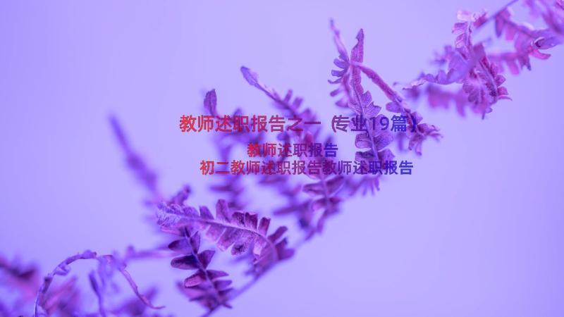 教师述职报告之一（专业19篇）