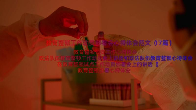 教育整顿工作动员部署会心得体会范文（17篇）