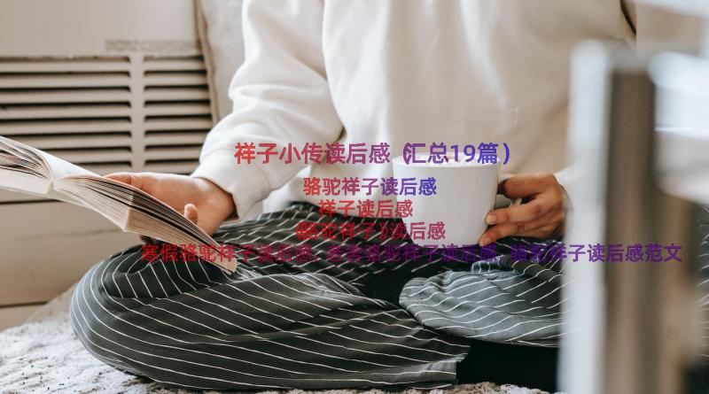 祥子小传读后感（汇总19篇）