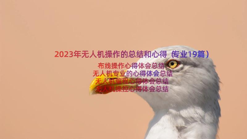 2023年无人机操作的总结和心得（专业19篇）