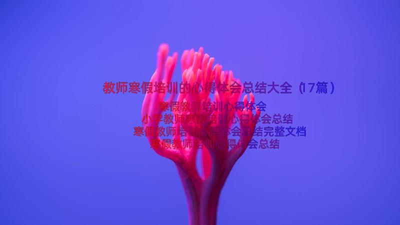 教师寒假培训的心得体会总结大全（17篇）