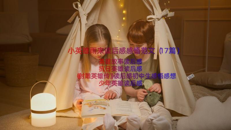 小英雄雨来读后感感悟范文（17篇）