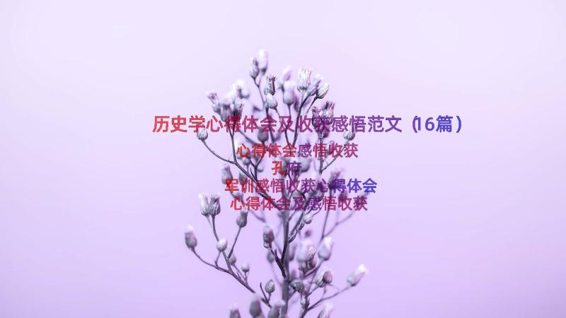 历史学心得体会及收获感悟范文（16篇）