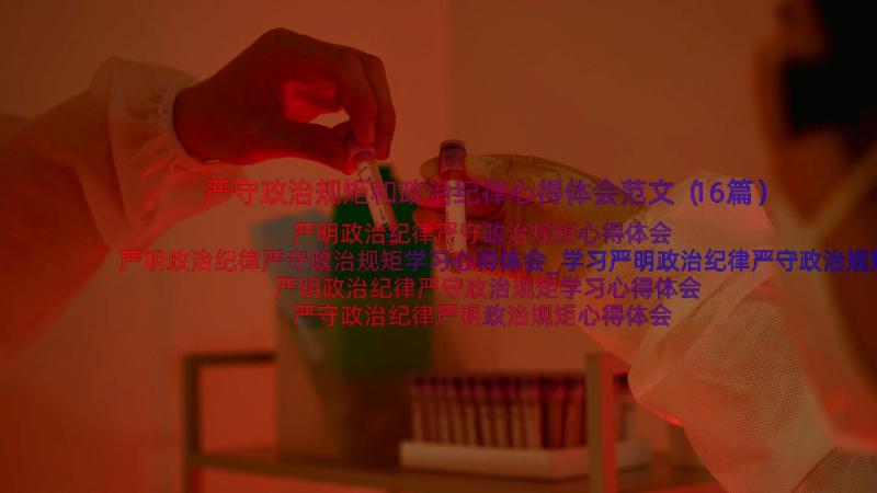 严守政治规矩和政治纪律心得体会范文（16篇）