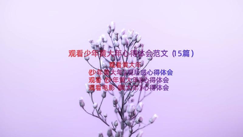 观看少年黄大年心得体会范文（15篇）