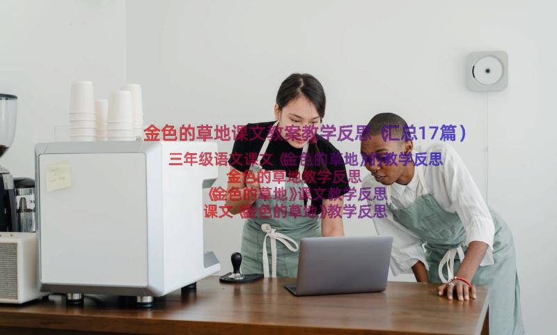 金色的草地课文教案教学反思（汇总17篇）