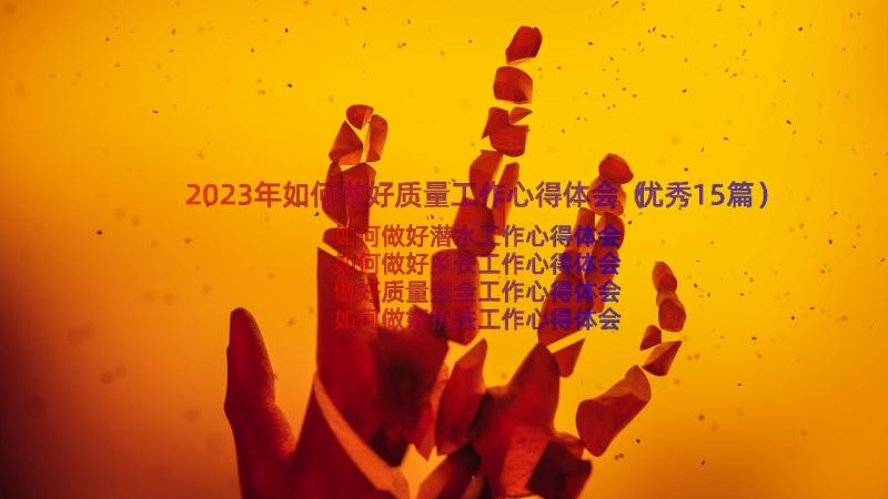 2023年如何做好质量工作心得体会（优秀15篇）