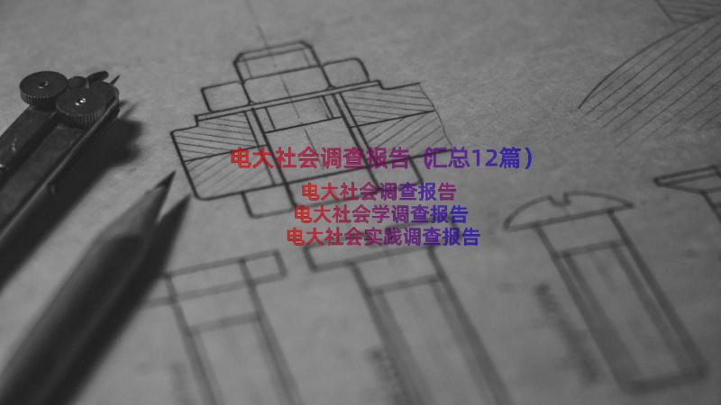 电大社会调查报告（汇总12篇）