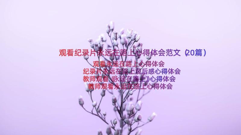 观看纪录片永远在路上心得体会范文（20篇）