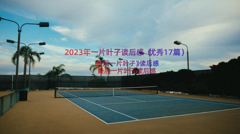 2023年一片叶子读后感（优秀17篇）