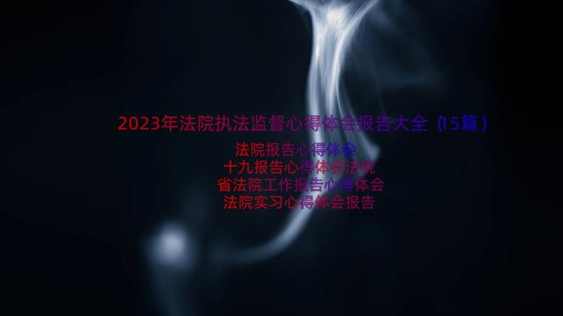 2023年法院执法监督心得体会报告大全（15篇）