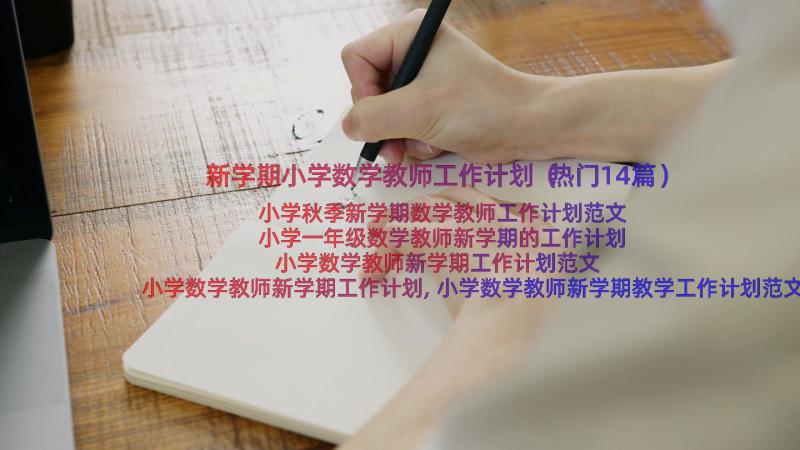 新学期小学数学教师工作计划（热门14篇）