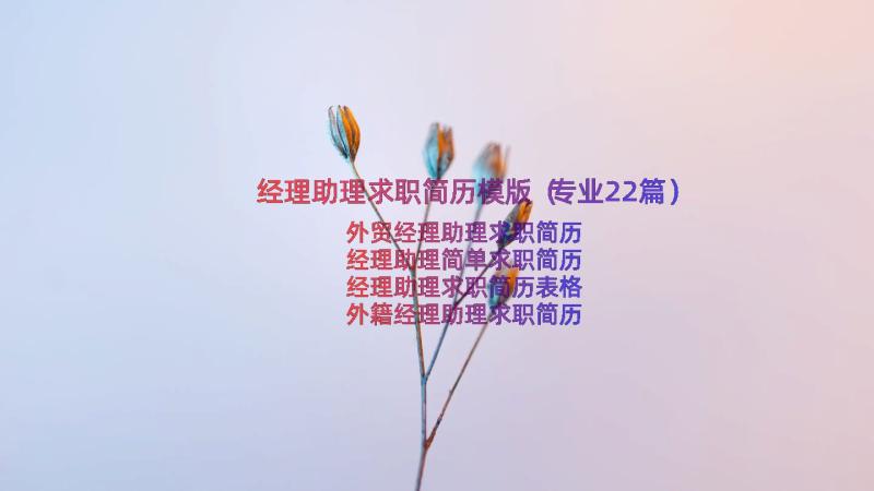 经理助理求职简历模版（专业22篇）