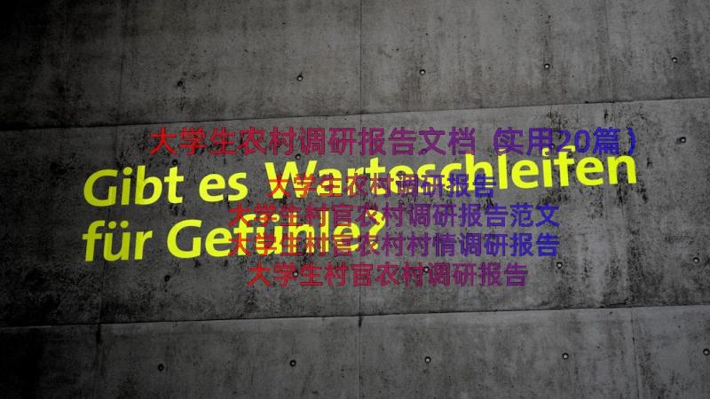 大学生农村调研报告文档（实用20篇）