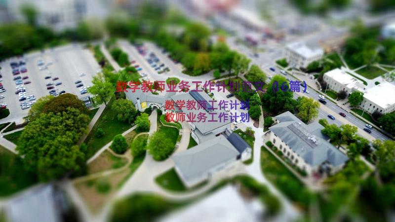 数学教师业务工作计划范文（16篇）