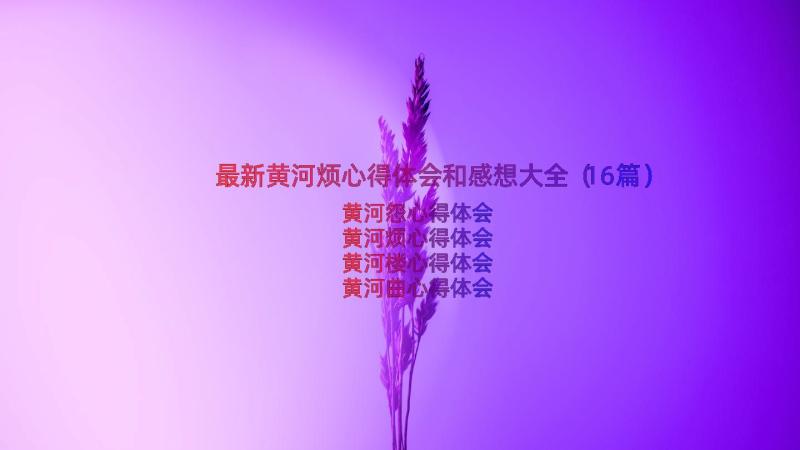 最新黄河烦心得体会和感想大全（16篇）