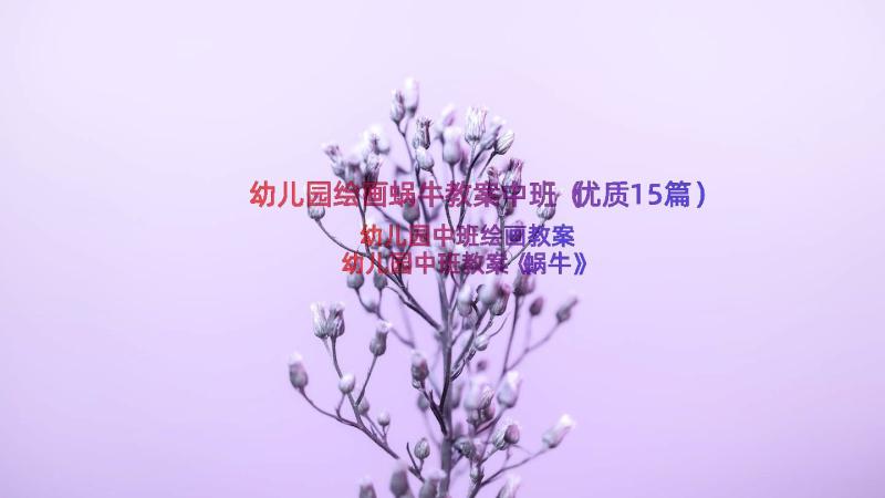 幼儿园绘画蜗牛教案中班（优质15篇）