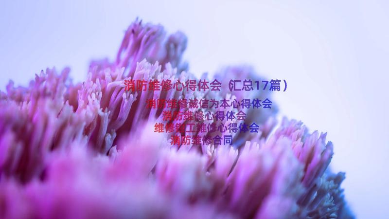 消防维修心得体会（汇总17篇）