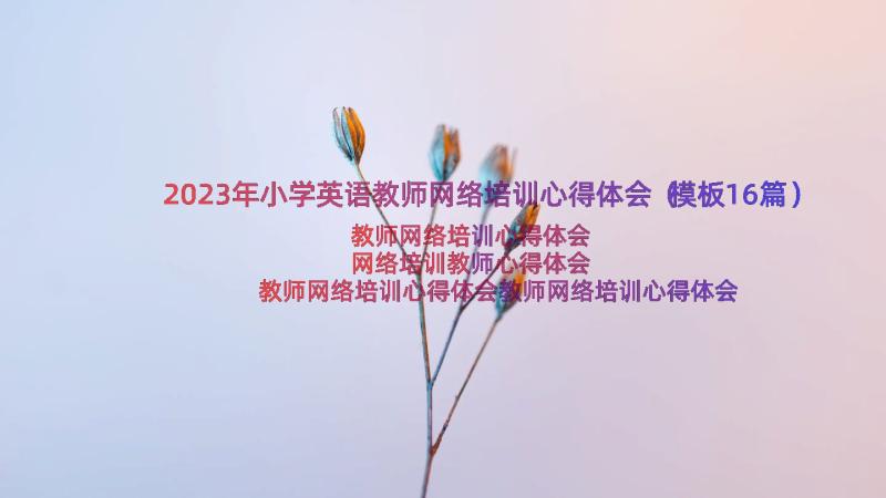 2023年小学英语教师网络培训心得体会（模板16篇）