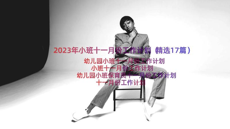 2023年小班十一月份工作计划（精选17篇）