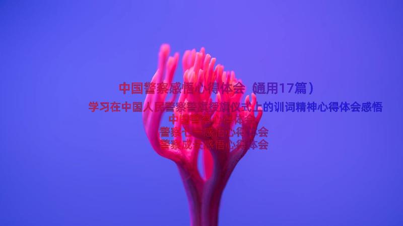 中国警察感悟心得体会（通用17篇）