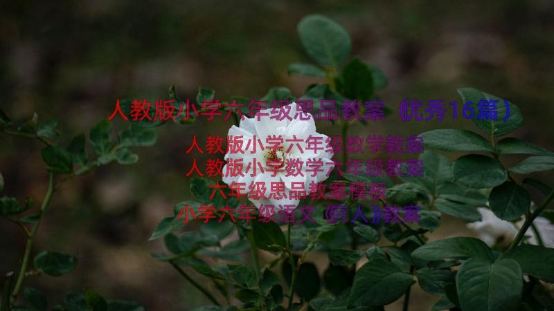 人教版小学六年级思品教案（优秀16篇）