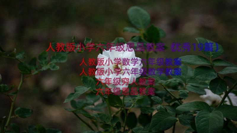 人教版小学六年级思品教案（优秀19篇）