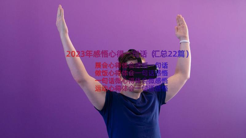 2023年感悟心得一句话（汇总22篇）