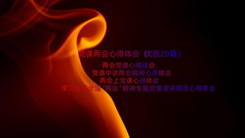 党课两会心得体会（优质20篇）