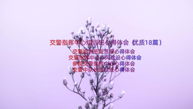 交警指挥中心培训班心得体会（优质18篇）