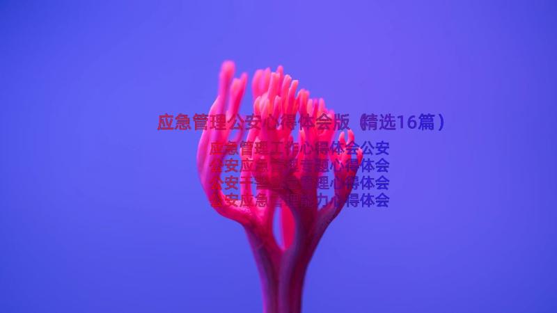 应急管理公安心得体会版（精选16篇）