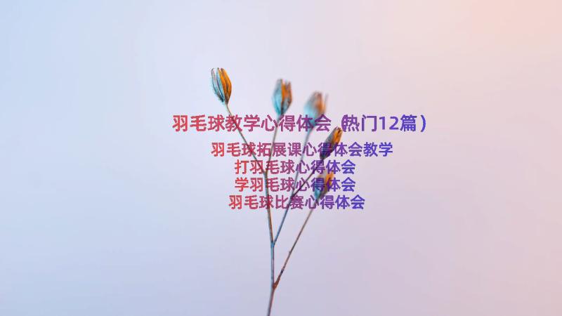 羽毛球教学心得体会（热门12篇）