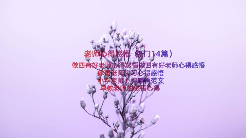 老师心得感悟（热门14篇）